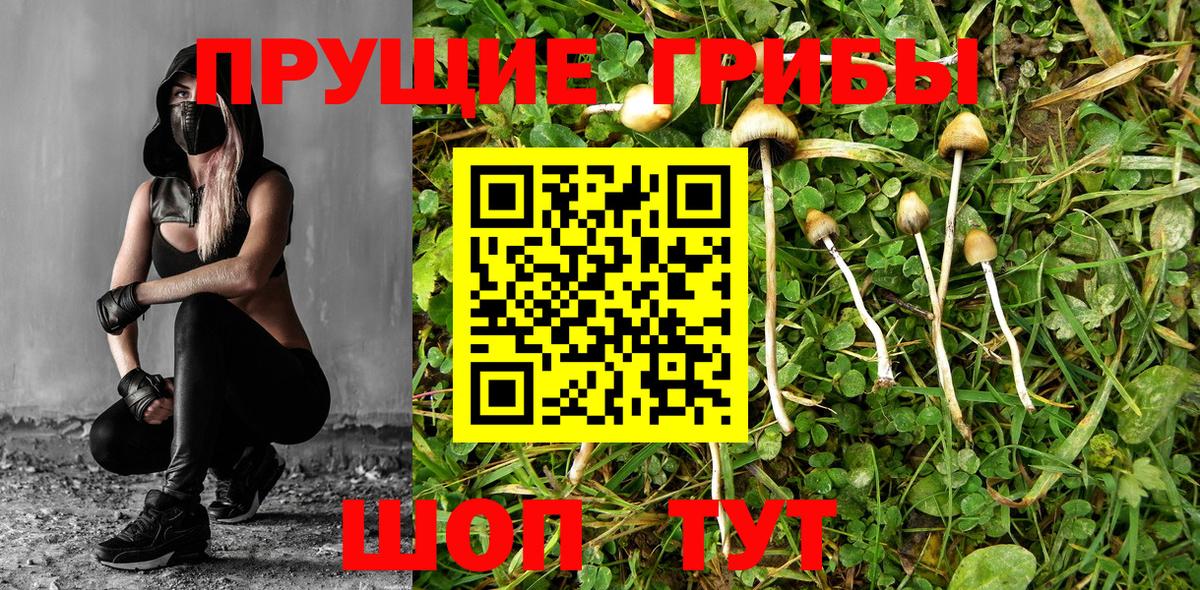 Галлюциногенные грибы мухоморы  Псилоцибиновые грибы MAGIC MUSHROOMS  Пугачёв  Вход с VPN 